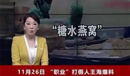 燕窝爆料新闻视频播放,揭秘行业黑幕与真相